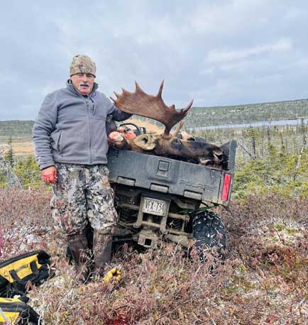 bull Moose