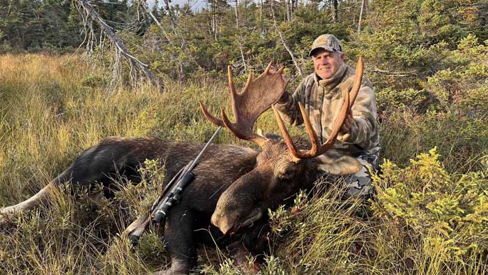 bull Moose