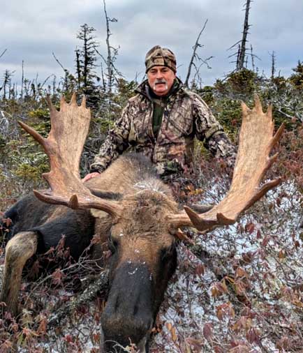 bull Moose