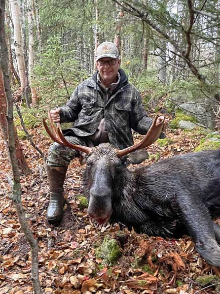 bull Moose